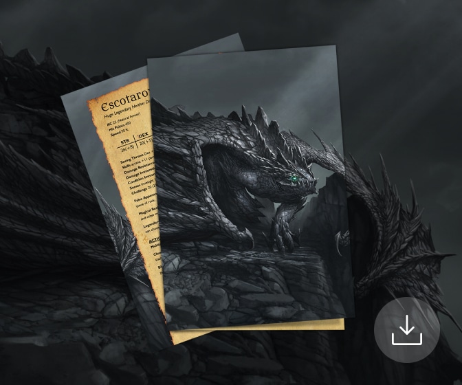 Mini Adventure Escotarox